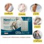 40 Strips Neobun Menthol Plaster Cool Relief Pain Back Muscle Ache 4 Sachets