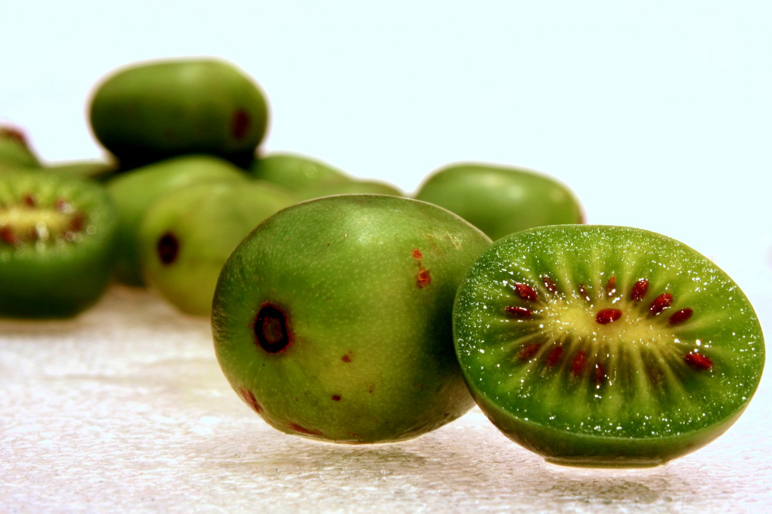 Arctic Kiwi 2 cuttings (male and female) Actinidia arguta