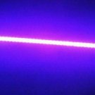 Ultraviolet LED strip Black Light Night Fishing Waterproof ip65 5050 16 FEET