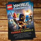 BD #160 Ninjago Shadow of Ronin Party copy