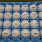 1 Dozen (Bridgestone E6 Custom LOGO) Refinished Golf Balls Text Or Image