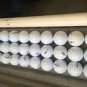 1 Dozen (Bridgestone E6 Custom LOGO) Refinished Golf Balls Text Or Image