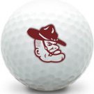 3 Dozen (Texas A&M Aggies Mascot LOGO) Callaway Near Mint AAAA Used Golf Balls