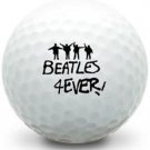 (12) 1 Dozen Nike Mix (The Beatles Fab 4 Logo) Near MINT /AAAA Used Golf Balls