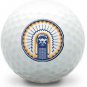 5 Dozen (Illinois Chief, Bears, Cubs LOGOS ) Pinnacle Near Mint AAAA Golf Balls