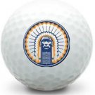 36 - 3 Dozen (Illinois Chief LOGO ) Pinnacle Near Mint AAAA Golf Balls