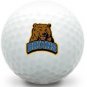 36 - 3 Dozen Taylor Made Fred Flinstones Logo Golf AAAA Near Mint Golf Balls