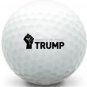 (36) Nike Near Mint AAAA (DONALD TRUMP 2016 President Logo) Used Golf Balls