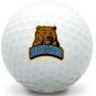 36 - 3 Dozen (NCAA UCLA Bruins LOGO ) Taylor Made AAAA Near Mint Golf Balls