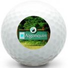 12 -1 Dozen (Algonquin National Park Canada LOGO) Nike Near Mint Used Golf Balls
