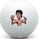 12 - 1 Dozen (Bruce Lee Caricature LOGO) Nike Near Mint AAAA Used Golf Balls