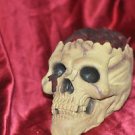 QUALITY REALISTIC CARVED SKULL WITH EXPOSED BRAINS