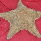 Giant Starfish Outdoor Garden Statue Sculpture