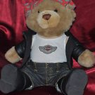 Harley Davidson 100th Anniversary Biker Open Road Teddy Bear 14" X 10"