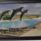 3D FRAMED PICTURE OF 3 DOLPHINS Contemporary, Mixed Materials Larger than 11"x14