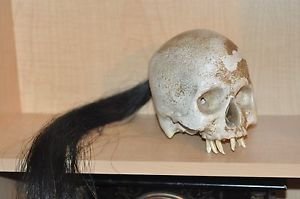 HEAD HUNTER ANCESTRAL HUMAN TROPHY RESIN SKULL