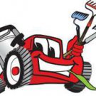 Yard Cleaning