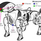 Robopet Interactive pet