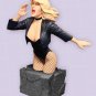 Black Canary Porcelain Bust DC Universe Women Limited Edition #3221/5000