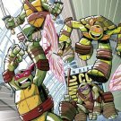 SDCC 2013 Teenage Mutant Ninja Turtles:The New Animated Adventures #1 Exclusive