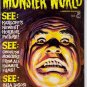 Monster World #5 Karloff Hammer Films Bela Lugosi Bride