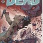 The Walking Dead #100 Cover G Ryan Ottley Image Rick Lori Carl Zombies Michonne
