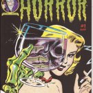 IDW Haunted Horror #1 Premiere Issue Chilling Archives Of Horror Comics C Yoe