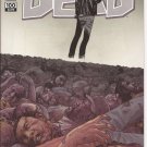 The Walking Dead #100 Cover H Charlie Adlard Image Rick Lori Carl Zombies Horror