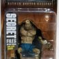 DC Direct Batman Rogues Gallery Secret Files Killer Croc MOC Action Figure