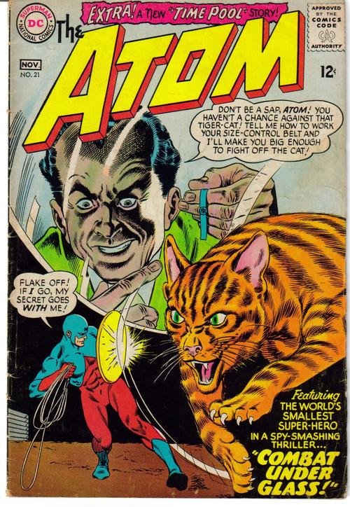 DC The Atom #21 Combat Under Glass Ray Palmer Jean Loring Justice League