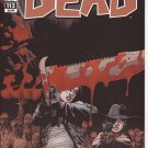 The Walking Dead #112 Image Kirkman Adlard Rathburn Zombie Holocaust Horror