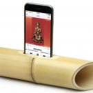 iBamboo speaker