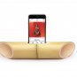 iBamboo speaker