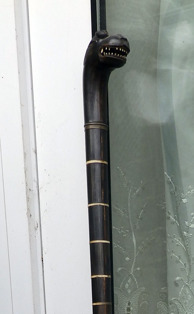 Antique Walking Sticks : Rare Colonial sectional grotesque handled Cane - 19thC