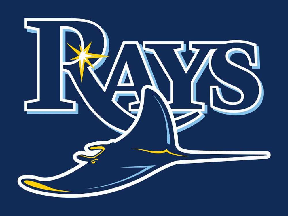 Tampa Bay Rays Flag 3'x5' Banner brass metal holes Rays Flag