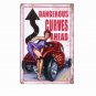 Dangerous Curves Ahead Shabby Chic CAR Metal Tin Signs Garage Home Decor Craft R