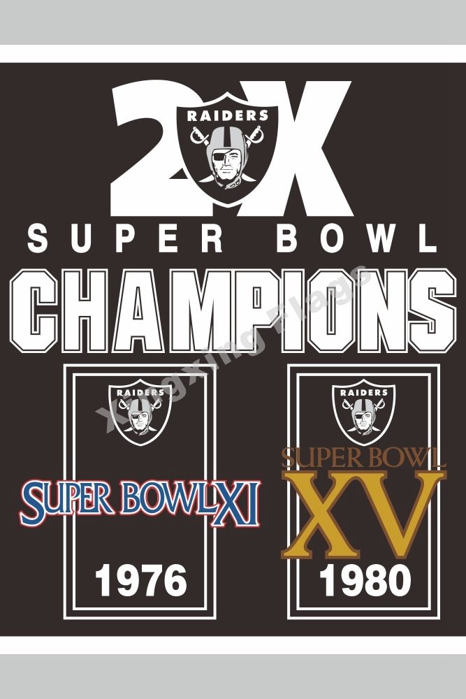 super bowl champions flag