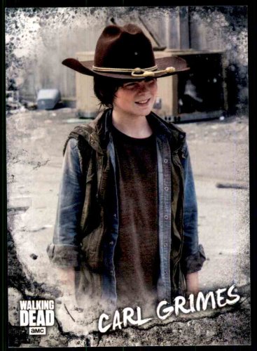 2018 Topps The Walking Dead Road to Alexandria Character #C-3  Carl Grimes