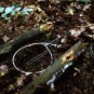 B3 WILDERNESS SURVIVAL TRAINING - SPECIAL FORCES INSTRUCTOR - KNIVES, FIRE, FOOD