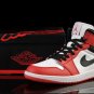 Air Jordan I