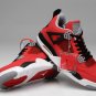 Air Jordan IV