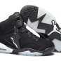 Air Jordan VI