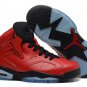 Air Jordan VI