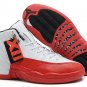 Air Jordan XII