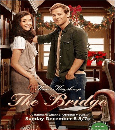 The Bridge (2015) DVD  HM-LT