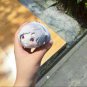Bungo Stray Dogs DEAD APPLE Plush Doll Plush Toy Keychain MochiMochi Mascot Gift