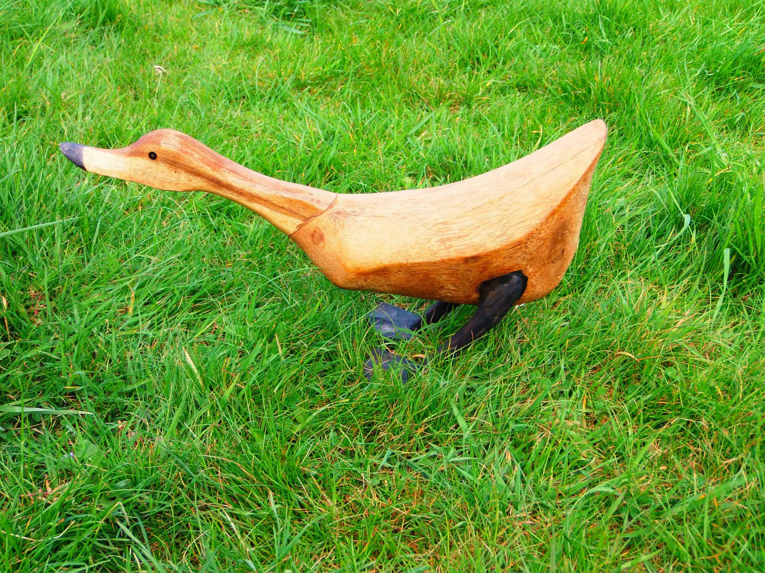 Wooden Duck feeding Large