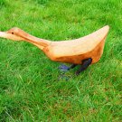 Wooden Duck feeding Large
