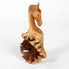 Horse head