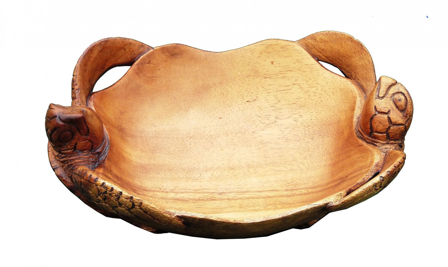 Turtle bowl